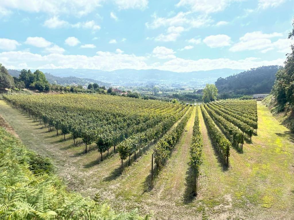 Quinta Picouto De Cima Villa Guimarães Exteriör bild